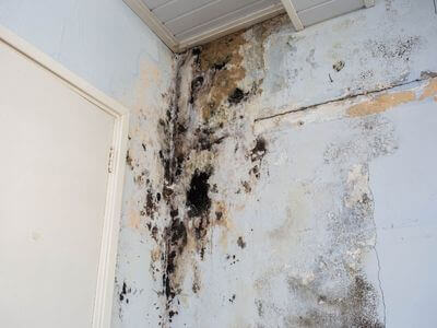 About water damage cleanup - ceiling water damage repair experts in New York